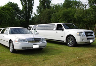 Limousines lined up